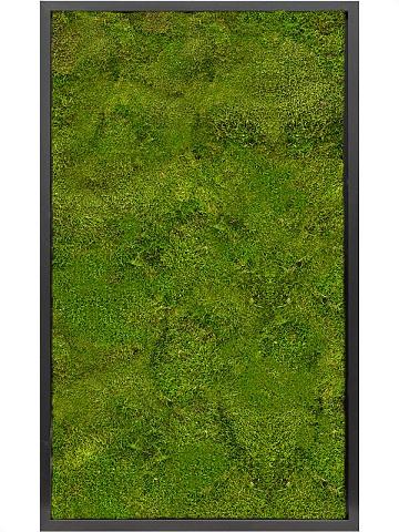 Картина из мха mdf ral 9005 satin gloss 100% flat moss Картина из мха mdf ral 9005 satin gloss 100% flat moss