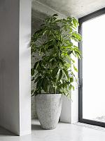 Кашпо Oyster bernd l imperial white D53 H60 см