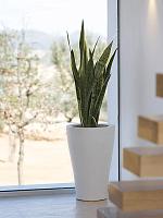 Кашпо Curvada basic planter D45 H68 см