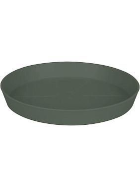 Поддон Loft urban thyme green Поддон Loft urban thyme green