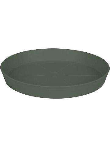 Поддон Loft urban thyme green Поддон Loft urban thyme green