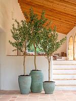Кашпо Mediterranean hera l, rustic green D51 H74 см