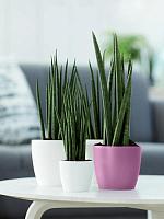 Кашпо Brussels round mini vivid violet D13 H12 см Кашпо Brussels round mini vivid violet D13 H12 см