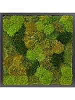 Картина из мха mdf ral 9005 satin gloss 20% flat and 80% exclusive moss (mix) L40 W40 H6 см