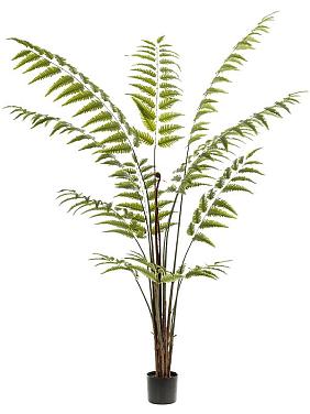 Папоротник искусственный