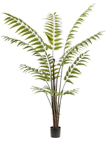 Папоротник искусственный Папоротник искусственный
