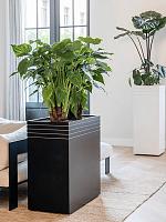 Кашпо Baq line-up rectangle matt black (с техническим горшком и подставкой на колесиках) L74 W38 H75 см