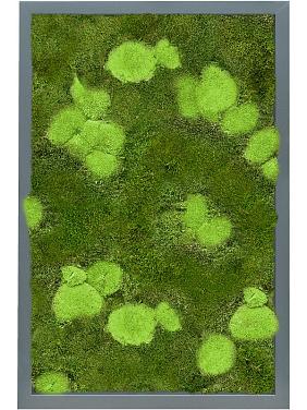 Картина из мха mdf ral 7016 satin gloss 30% ball- and 70% flat moss Картина из мха mdf ral 7016 satin gloss 30% ball- and 70% flat moss