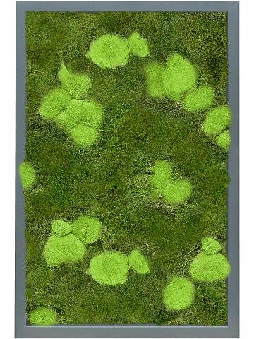 Картина из мха mdf ral 7016 satin gloss 30% ball- and 70% flat moss Картина из мха mdf ral 7016 satin gloss 30% ball- and 70% flat moss