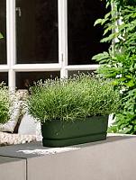 Кашпо Greenville trough long leaf green L68 W19 H18 см Кашпо Greenville trough long leaf green L68 W19 H18 см
