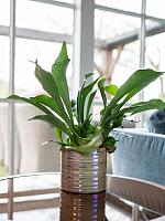 Кашпо Didi pot pearl blue D17 H15 см