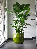 Кашпо Eddy pot pear D50 H45 см