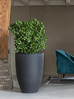 Кашпо Refined ben l volcano black D40 H55 см Кашпо Refined ben l volcano black D40 H55 см