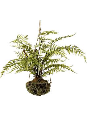 Лесной папоротник ампельный в подвесной конструкции искусственный Лесной папоротник ампельный в подвесной конструкции искусственный