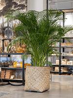 Кашпо Bohemian zayn m bamboo D55 H60 см Кашпо Bohemian zayn m bamboo D55 H60 см