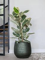 Кашпо Noor pot velvet green D32 H30 см Кашпо Noor pot velvet green D32 H30 см