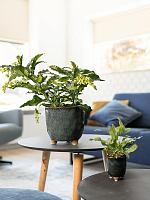 Кашпо Kaat pot petrol D20 H20 см