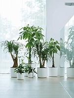 Кашпо B.for soft round white D14 H13 см