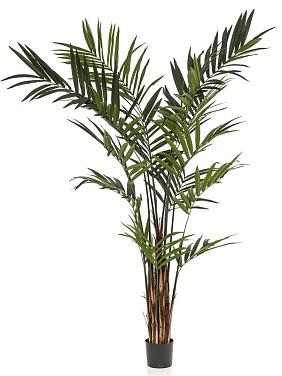 Пальма Кентия (Ховея) искусственная