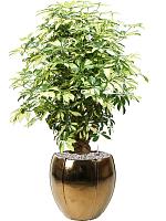 Кашпо Moda emperor gold D43 H43 см