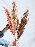 Колос Пампасной травы кремовый искусственный W12 H115 см