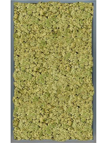 Картина из мха mdf ral 7016 satin gloss 100% reindeer (oldgreen) Картина из мха mdf ral 7016 satin gloss 100% reindeer (oldgreen)