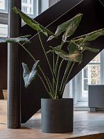 Кашпо Refined max l volcano black D50 H49 см Кашпо Refined max l volcano black D50 H49 см