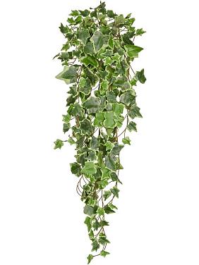 Плющ пестро-зеленый ампельный искусственный Плющ пестро-зеленый ампельный искусственный