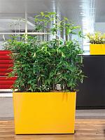 Кашпо Baq ecoline rise regular rectangle L90 W40 H60 см