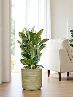 Кашпо Baq dune cylinder green D38 H37 см