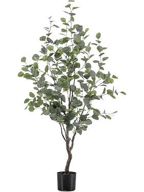 Эвкалипт искусственный