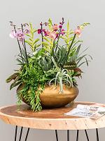 Кашпо Baq metallic silver leaf bowl ufo matt honey D55 H22 см