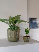 Кашпо Cille pot forest D17 H15 см