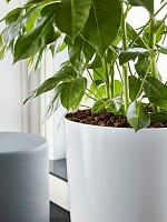 Кашпо Baq ecoline phoenix regular partner straight D33 H66 см