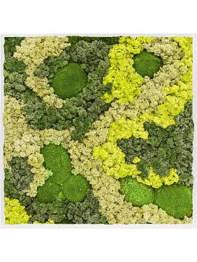 Картина из мха mdf ral 9010 satin gloss 30% ball moss 70% reindeer moss (mix) Картина из мха mdf ral 9010 satin gloss 30% ball moss 70% reindeer moss (mix)