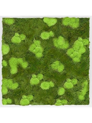 Картина из мха mdf ral 9010 satin gloss 30% ball- and 70% flat moss Картина из мха mdf ral 9010 satin gloss 30% ball- and 70% flat moss