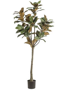 Магнолия искусственная Магнолия искусственная