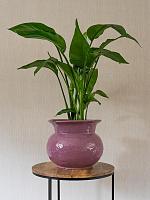 Кашпо Vivi pot mauve D21 H17 см