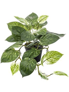 Сциндапсус в горшке искусственный Сциндапсус в горшке искусственный