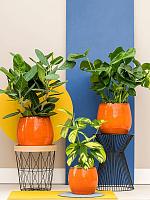 Кашпо Charlotte pot orange D15 H13 см