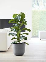 Кашпо Ecopots oslo 35 grey D35 H31 см