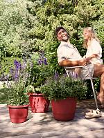 Кашпо Amiga round theatre red D25 H19 см