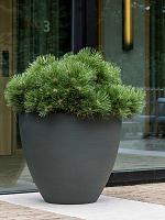 Кашпо Refined jesslyn m pine green D60 H52 см Кашпо Refined jesslyn m pine green D60 H52 см