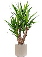 Кашпо Baq raindrop cylinder beige D34 H32 см