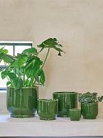 Кашпо Luuk orchidpot khaki D17 H16 см