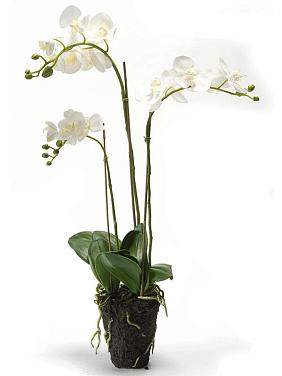 Орхидея Фаленопсис белая с землёй искусственная