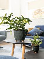 Кашпо Kaat pot petrol D11 H12 см