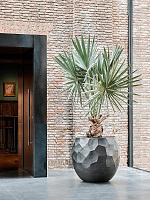 Кашпо Baq polystone nathan james balloon pueter champagne D80 H73 см