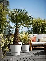 Кашпо с поддоном Greenville round white D40 H36 см Кашпо с поддоном Greenville round white D40 H36 см