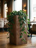 Кашпо Baq radia square natural (с техническим горшком) L38 W38 H75 см